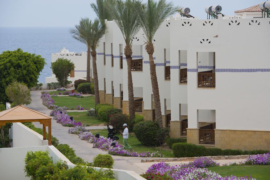 Єгипет, Шарм ель Шейх, готель Amphoras Blu Resort4* 